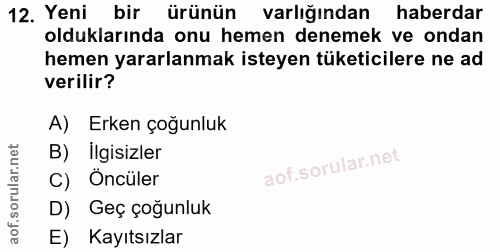 12. soru: Yeni bir ürünün varlığından haberdar olduklarında onu hemen denemek ve ondan hemen yararlanmak isteyen tüketicilere n…