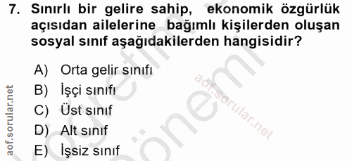 7. soru: Sınırlı bir gelire sahip, ekonomik özgürlük açısıdan ailelerine bağımlı kişilerden oluşan sosyal sınıf aşağıdakilerde…
