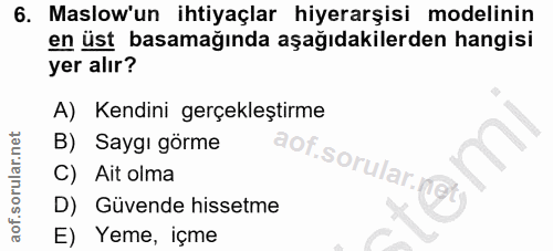 6. soru: Maslow'un ihtiyaçlar hiyerarşisi modelinin en üst basamağında aşağıdakilerden hangisi yer alır? A) Kendini gerçekleşt…