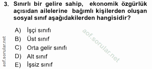 3. soru: Sınırlı bir gelire sahip, ekonomik özgürlük açısıdan ailelerine bağımlı kişilerden oluşan sosyal sınıf aşağıdakilerde…