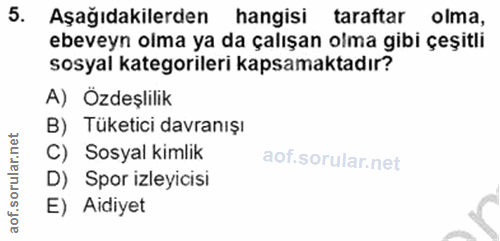 5. soru: Aşağıdakilerden hangisi taraftar olma, ebeveyn olma ya da çalışan olma gibi çeşitli sosyal kategorileri kapsamaktadır…