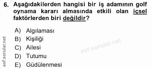 6. soru: Aşağıdakilerden hangisi bir iş adamının golf oynama kararı almasında etkili olan içsel faktörlerden biri değildir? A)…