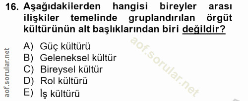16. soru: Aşağıdakilerden hangisi bireyler arası ilişkiler temelinde gruplandırılan örgüt kültürünün alt başlıklarından biri de…