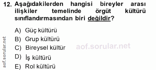 12. soru: Aşağıdakilerden hangisi bireyler arası ilişkiler temelinde örgüt kültürü sınıflandırmasından biri değildir? A) Güç kü…