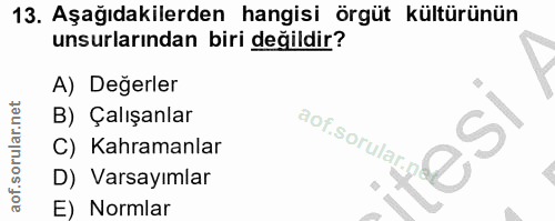 13. soru: Aşağıdakilerden hangisi örgüt kültürünün unsurlarından biri değildir? A) Değerler B) Çalışanlar aof.sorular.p C) Kahr…