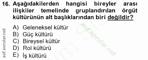 16. soru: Aşağıdakilerden hangisi bireyler arası ilişkiler temelinde gruplandırılan örgüt kültürünün alt başlıklarından biri de…