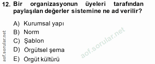 12. soru: Bir organizasyonun üyeleri tarafından paylaşılan değerler sistemine ne ad verilir? A) Kurumsal yapı B) Norm C) Şablon…