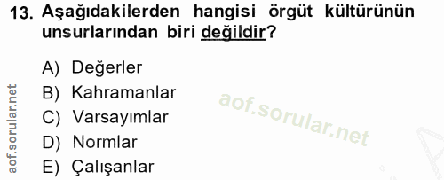 13. soru: Aşağıdakilerden hangisi örgüt kültürünün unsurlarından biri değildir? A) Değerler B) Kahramanlar C) Varsayımlar D) No…