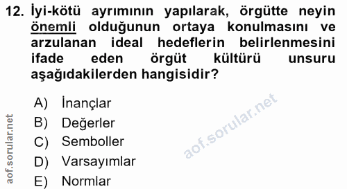 12. soru: İyi-kötü ayrımının yapılarak, örgütte neyin önemli olduğunun ortaya konulmasını ve arzulanan ideal hedeflerin belirle…