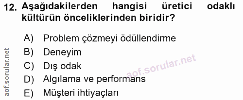 12. soru: Aşağıdakilerden hangisi üretici odaklı kültürün önceliklerinden biridir? A) Problem çözmeyi ödüllendirme B) Deneyim C…