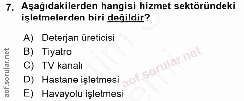 7. soru: Aşağıdakilerden hangisi hizmet sektöründeki işletmelerden biri değildir? A) Deterjan üreticisi B) Tiyatro C) TV kanal…