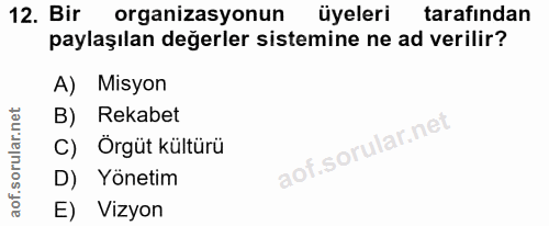 12. soru: Bir organizasyonun üyeleri tarafından paylaşılan değerler sistemine ne ad verilir? A) Misyon B) Rekabet C) Orgüt kült…