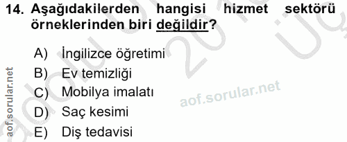 14. soru: Aşağıdakilerden hangisi hizmet sektörü örneklerinden biri değildir? A) Ingilizce öğretimi B) Ev temizliği C) Mobilya…