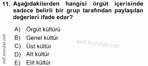 11. soru: Aşağıdakilerden hangisi örgüt içerisinde sadece belirli bir grup tarafından paylaşılan değerleri ifade eder? A) Örgüt…