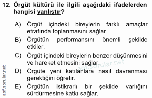 12. soru: Örgüt kültürü ile ilgili aşağıdaki ifadelerden hangisi yanlıştır? A) Örgüt içindeki bireylerin farklı amaçlar etrafin…