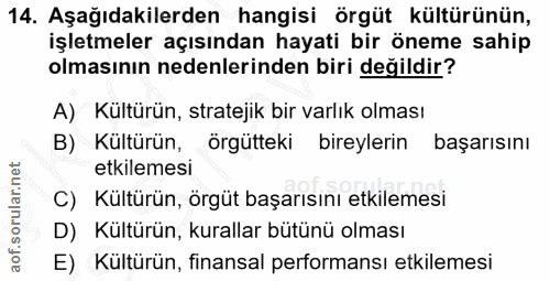 14. soru: Aşağıdakilerden hangisi örgüt kültürünün, işletmeler açısından hayati bir öneme sahip olmasının nedenlerinden biri de…