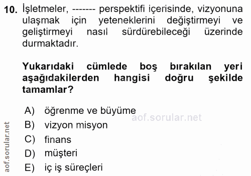 10. soru: İşletmeler, -- perspektifi içerisinde, vizyonuna ulaşmak için yeteneklerini değiştirmeyi ve geliştirmeyi nasıl sürdür…