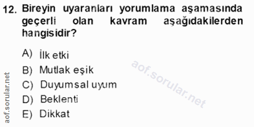 12. soru: Bireyin uyaranları yorumlama aşamasında geçerli olan kavram aşağıdakilerden hangisidir? A) ilk etki B) Mutlak eşik C)…