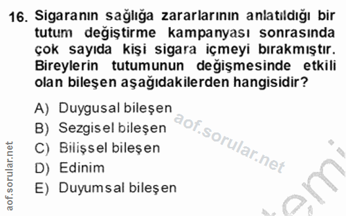 16. soru: Sigaranın sağlığa zararlarının anlatıldığı bir tutum değiştirme kampanyası sonrasında çok sayıda kişi sigara içmeyi b…