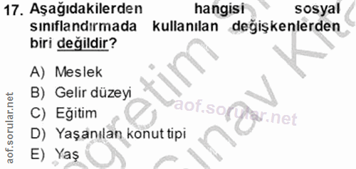 17. soru: Aşağıdakilerden hangisi sosyal siniflandırmada kullanılan değişkenlerden biri değildir? A) Meslek B) Gelir düzeyi C)…