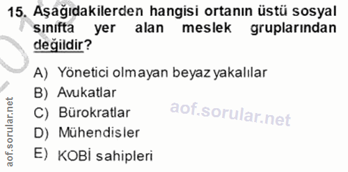 15. soru: Aşağıdakilerden hangisi ortanın üstü sosyal sinifta yer alan meslek gruplarından değildir? A) Yönetici olmayan beyaz…