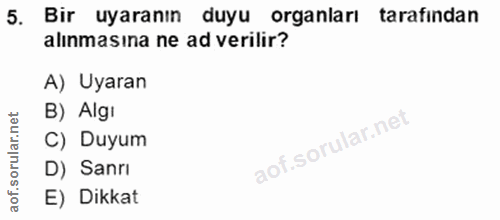 5. soru: Bir uyaranın duyu organları tarafindan alınmasına ne ad verilir? A) Uyaran B) Algı C) Duyum D) Sanrı E) Dikkat