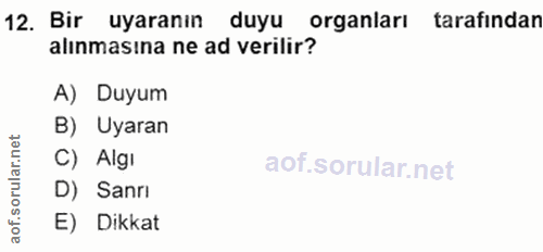 12. soru: Bir uyaranın duyu organları tarafından alınmasına ne ad verilir? A) Duyum B) Uyaran rular.n C) Algı D) Sanrı aof. E)…