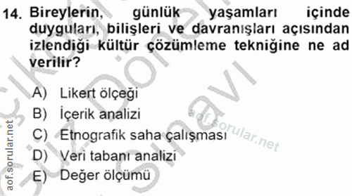 14. soru: Bireylerin, günlük yaşamları içinde duyguları, bilişleri ve davranışları açısından izlendiği kültür çözümleme tekniği…