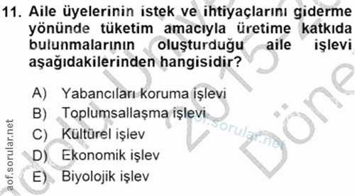 11. soru: Aile üyelerinin istek ve ihtiyaçlarını giderme yönünde tüketim amacıyla üretime katkıda bulunmalarının oluşturduğu ai…