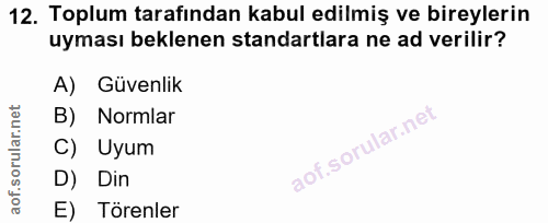 12. soru: Toplum tarafından kabul edilmiş ve bireylerin uyması beklenen standartlara ne ad verilir? A) Güvenlik B) Normlar C) U…