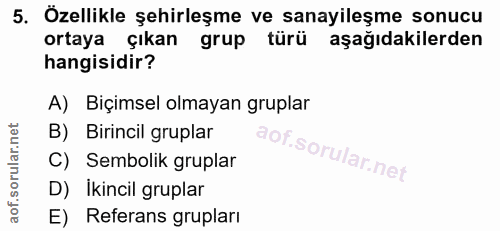 5. soru: Özellikle şehirleşme ve sanayileşme sonucu ortaya çıkan grup türü aşağıdakilerden hangisidir? A) Biçimsel olmayan gru…