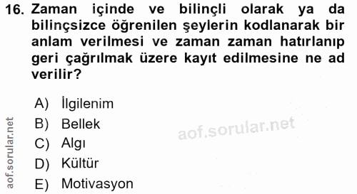 16. soru: Zaman içinde ve bilinçli olarak ya da bilinçsizce öğrenilen şeylerin kodlanarak bir anlam verilmesi ve zaman zaman ha…