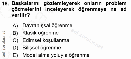 18. soru: Başkalarını gözlemleyerek onların problem çözmelerini inceleyerek öğrenmeye ne ad verilir? A) Davranışsal öğrenme B)…