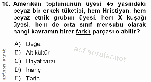 10. soru: Amerikan toplumunun üyesi 45 yaşındaki beyaz bir erkek tüketici, hem Hristiyan, hem beyaz etnik grubun üyesi, hem X k…