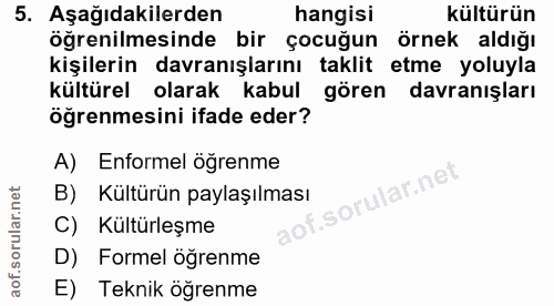 5. soru: Aşağıdakilerden hangisi kültürün öğrenilmesinde bir çocuğun örnek aldığı kişilerin davranışlarını taklit etme yoluyla…