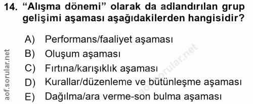 14. soru: "Alışma dönemi" olarak da adlandırılan grup gelişimi aşaması aşağıdakilerden hangisidir? A) Performans/faaliyet aşama…