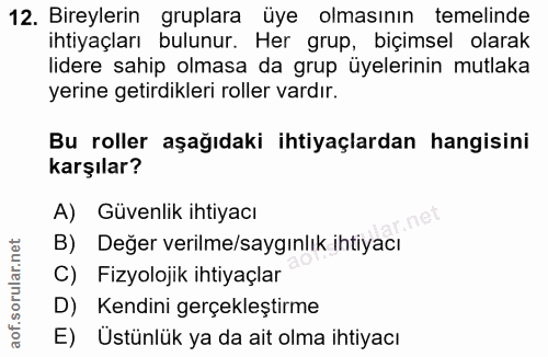 12. soru: Bireylerin gruplara üye olmasının temelinde ihtiyaçları bulunur. Her grup, biçimsel olarak lidere sahip olmasa da gru…