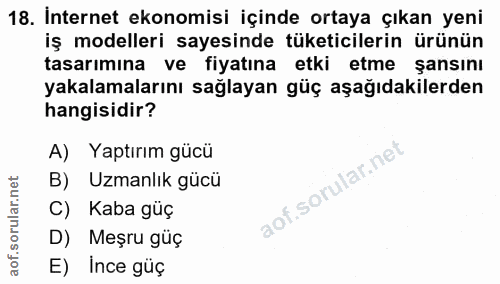 18. soru: İnternet ekonomisi içinde ortaya çıkan yeni iş modelleri sayesinde tüketicilerin ürünün tasarımına ve fiyatına etki e…