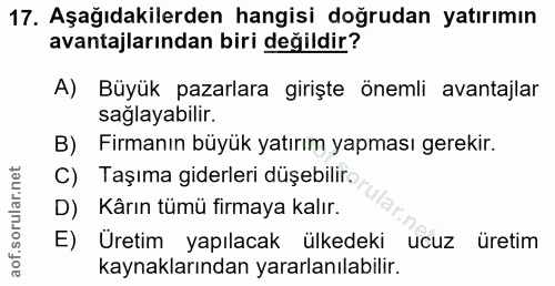 17. soru: Aşağıdakilerden hangisi doğrudan yatırımın avantajlarından biri değildir? A) Büyük pazarlara girişte önemli avantajla…