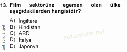 13. soru: Film sektörüne egemen olan ülke aşağıdakilerden hangisidir? A) ingiltere B) Hindistan C) ABD D) İtalya E) Japonya