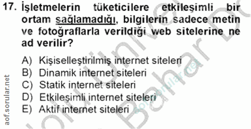 17. soru: İşletmelerin tüketicilere etkileşimlibir ortam sağamadığı, bilgilerin sadece metin ve fotoğraflarla verildiği web sit…