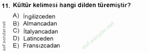 11. soru: Kültür kelimesi hangi dilden türemiştir? A) İngilizceden orular.net B) Almancadan C) italyancadan D) Latinceden aof.s…