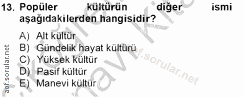 13. soru: Popüler kültürün diğer ismi aşağıdakilerden hangisidir? A) Alt kültür B) Gündelik hayat kültürü C) Yüksek kültür D) P…