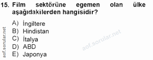 15. soru: Film sektörüne egemen olan ülke aşağıdakilerden hangisidir? A) ingiltere B) Hindistan C) İtalya D) ABD E) Japonya
