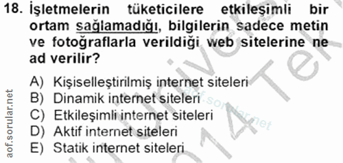 18. soru: İşletmelerin tüketicilere etkileşimli bir ortam sağlamadığı, bilgilerin sadece metin ve fotoğraflarla verildiği web s…