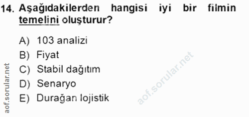 14. soru: Aşağıdakilerden hangisi iyi bir filmin temelini oluşturur? A) 103 analizi B) Fiyat C) Stabil dağıtım D) Senaryo E) Du…