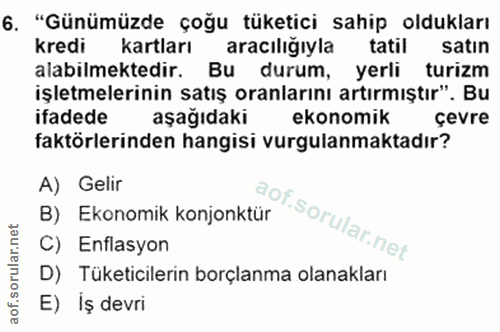 6. soru: "Günümüzde çoğu tüketici sahip oldukları kredi kartları aracılığıyla tatil satın alabilmektedir. Bu durum, yerli turi…