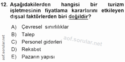 12. soru: Aşağıdakilerden hangisi bir turizm işletmesinin fiyatlama kararlarını etkileyen dışsal faktörlerden biri değildir? A)…
