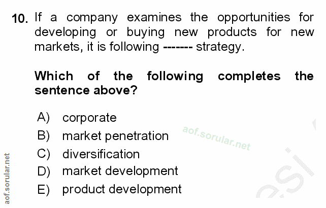 10. soru: If a company examines the opportunities for developing or buying new products for new markets, it is following --- st…