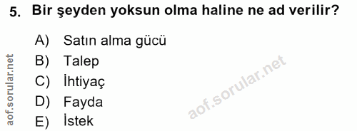 5. soru: Bir şeyden yoksun olma haline ne ad verilir? A) Satın alma gücü B) Talep C) Ihtiyaç D) Fayda E) Istek